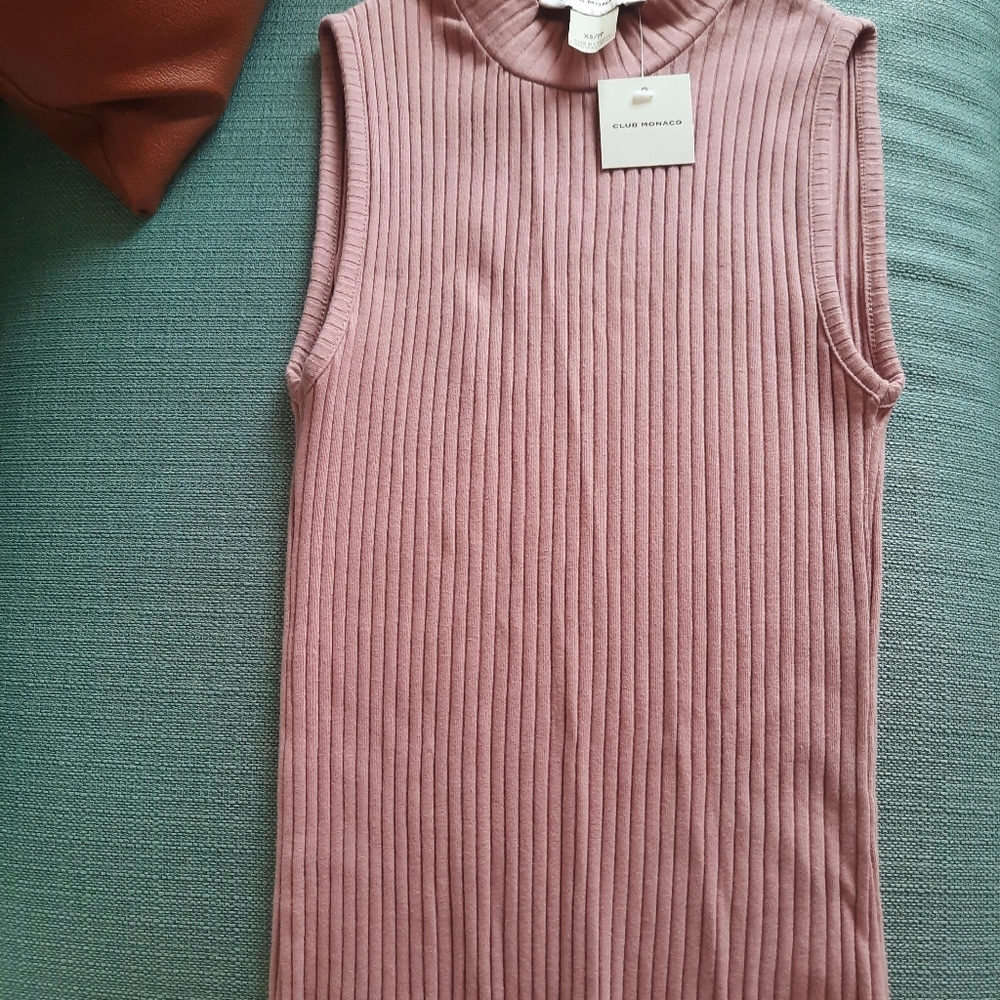 Brand New Club Monaco Top in Blush - Picture 3 of 3